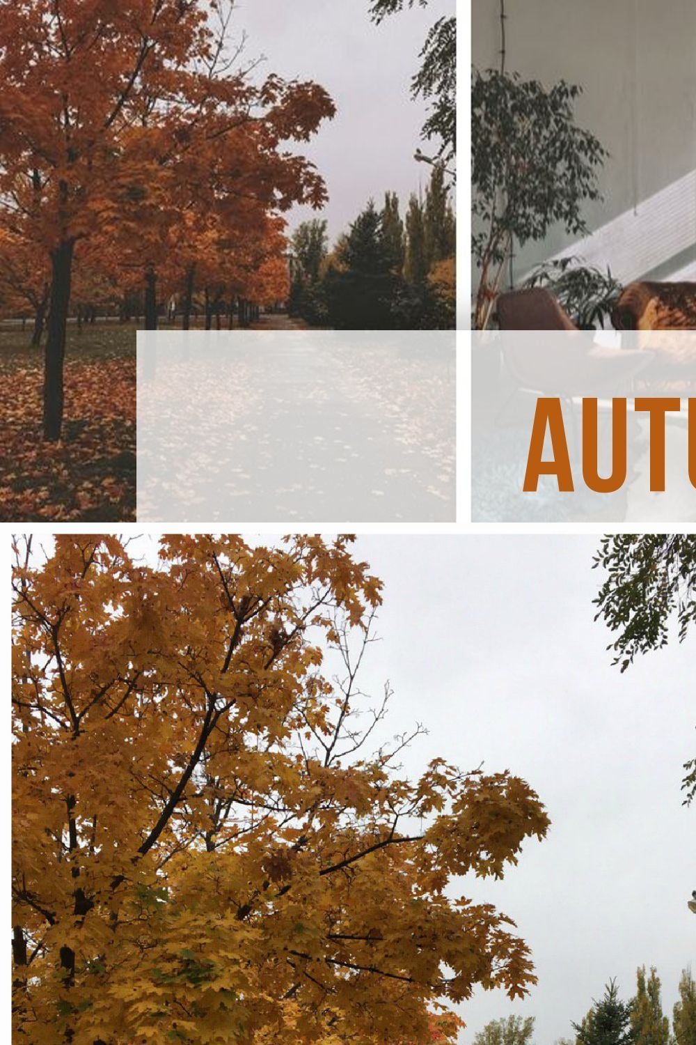 Lightroom Mobile Autumn Preset pinterest preview image.