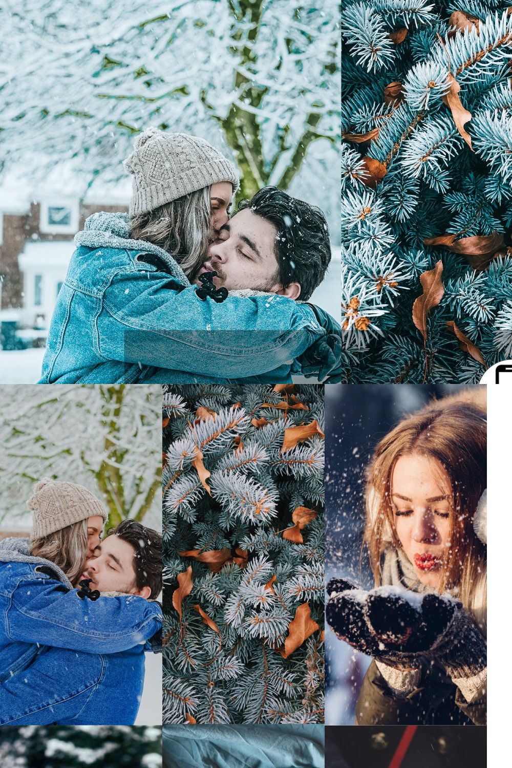 Lightroom Mobile Presets Winter Love pinterest preview image.