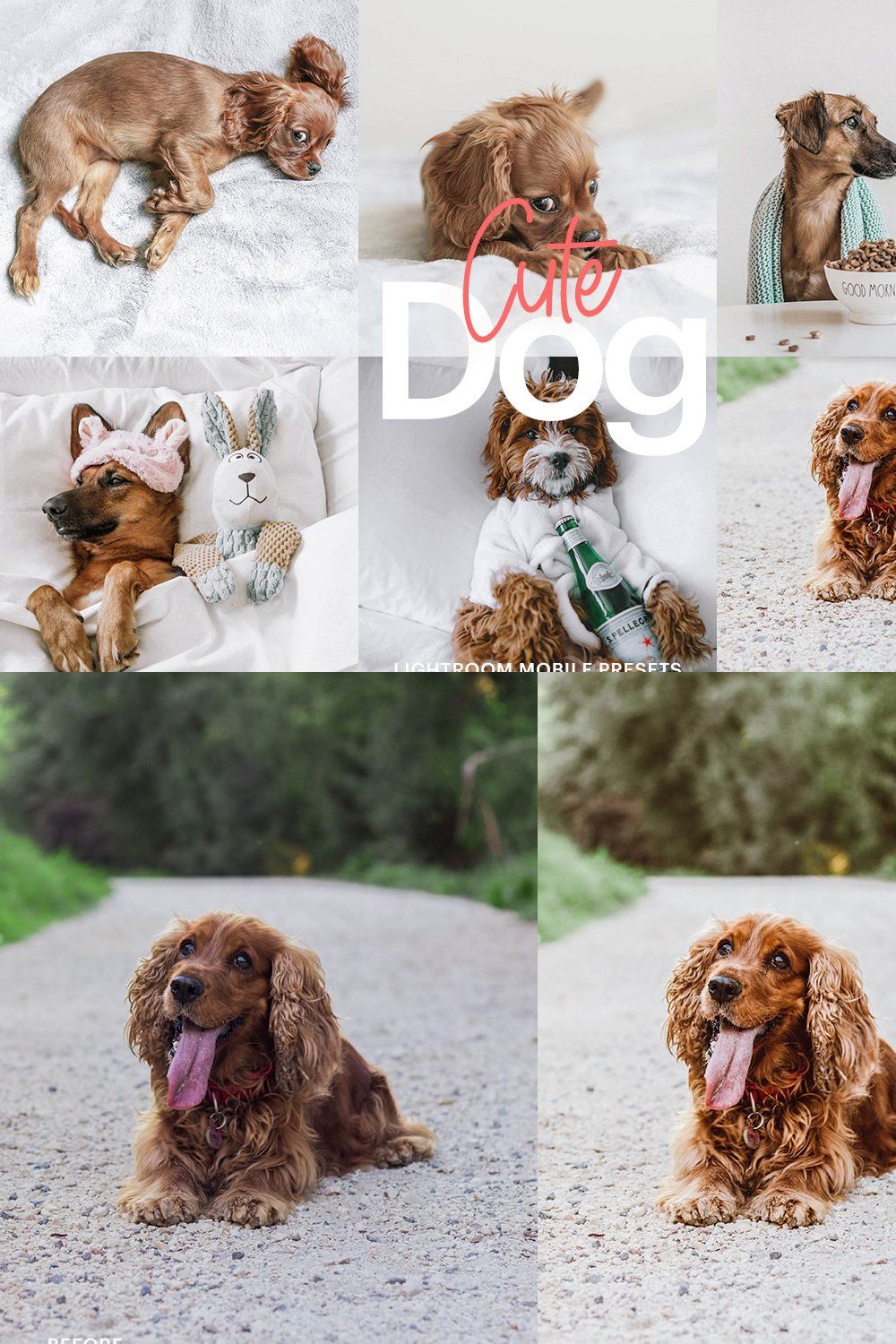 Lightroom Preset-Cute Dog Theme pinterest preview image.