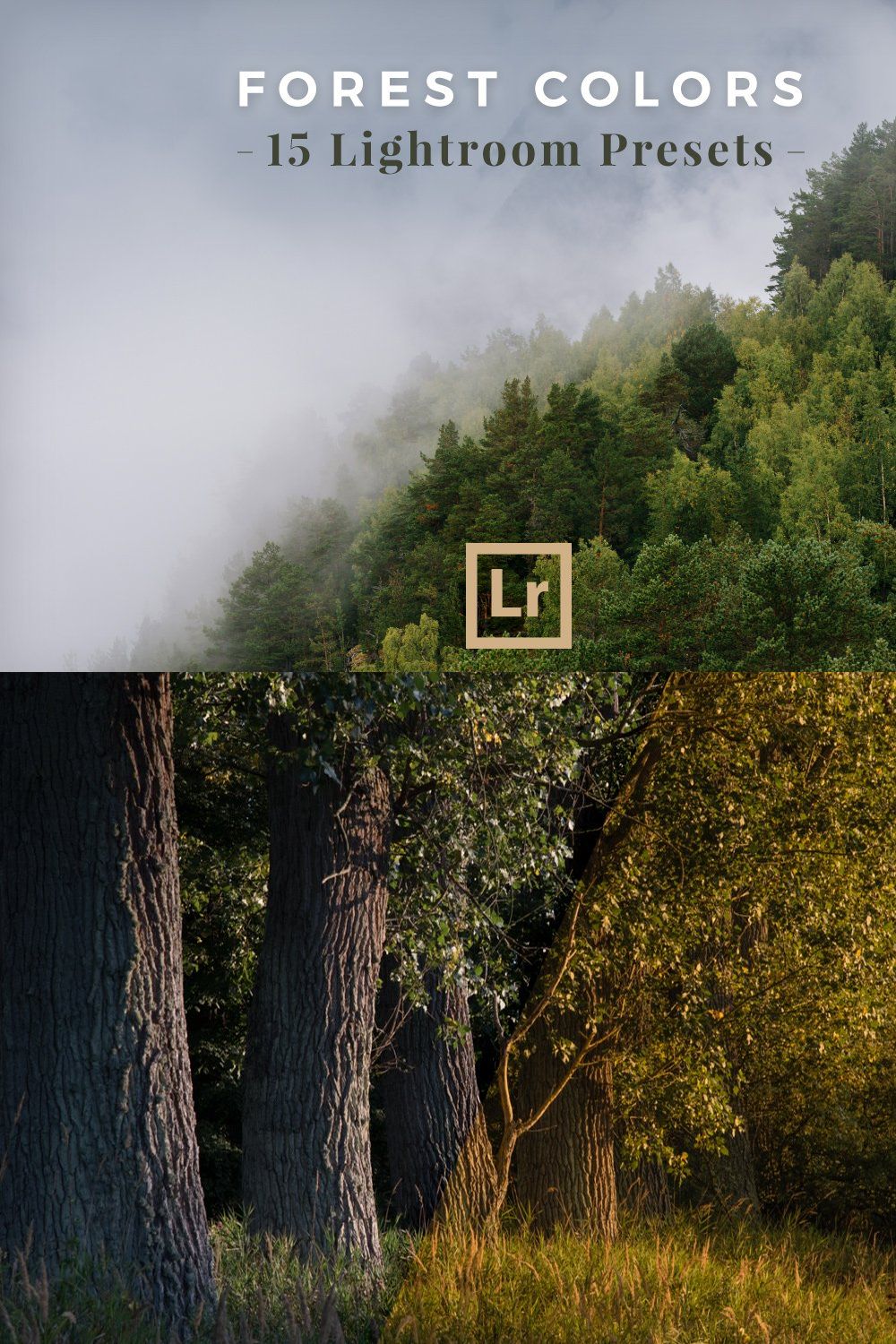 Lightroom Presets Forest Landscapes pinterest preview image.