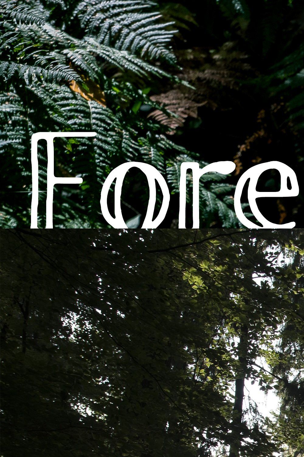 Lightroom Presets - Forest No. 1 pinterest preview image.