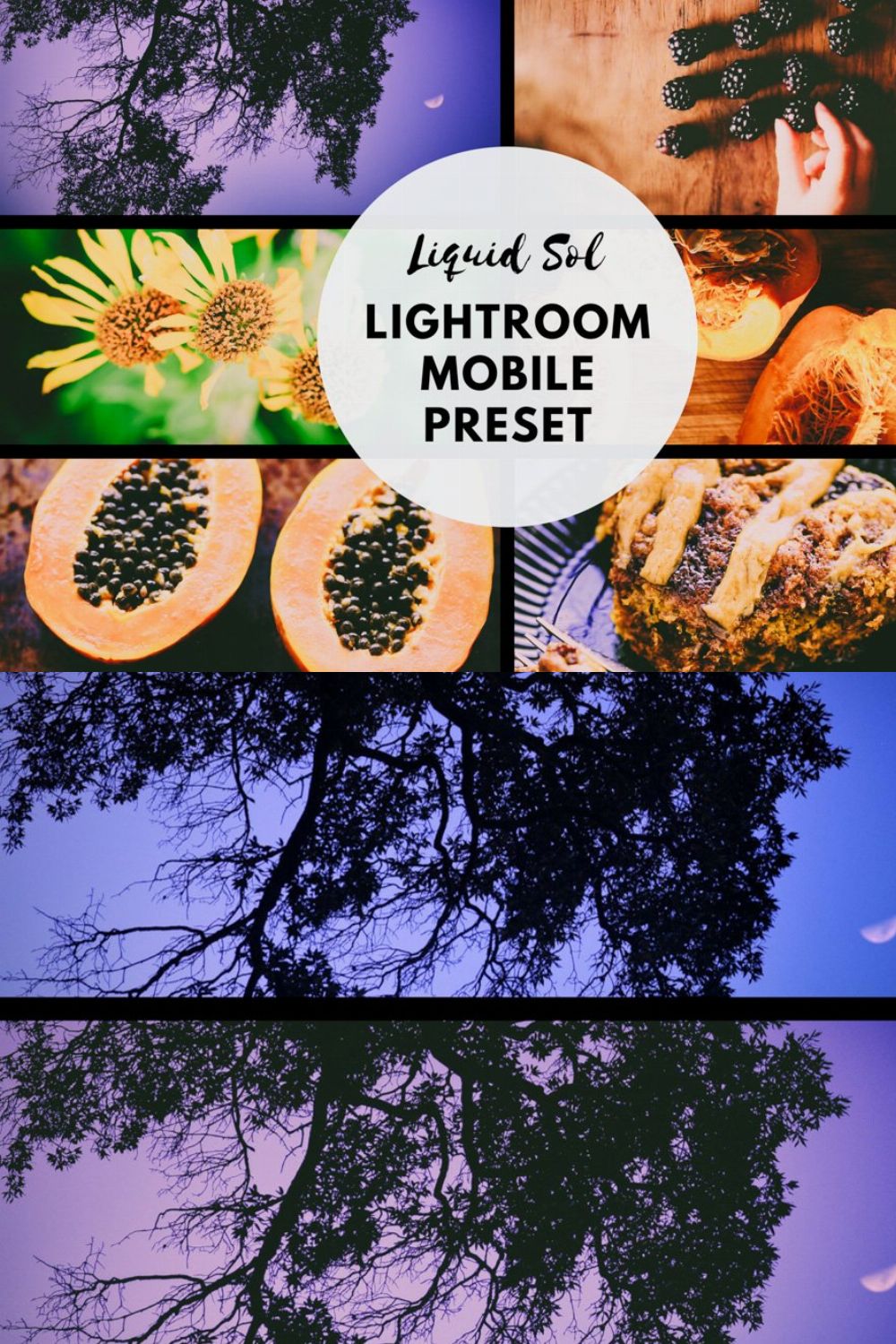 Liquid Sol Lightroom Mobile Preset pinterest preview image.