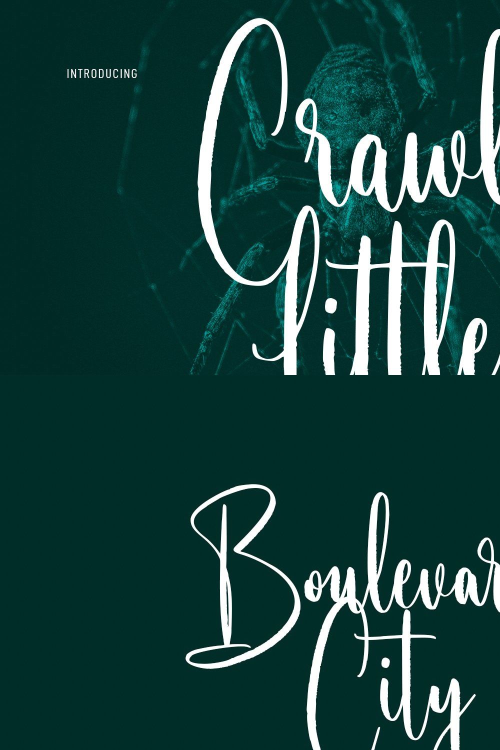 Little Crawls Script Font pinterest preview image.