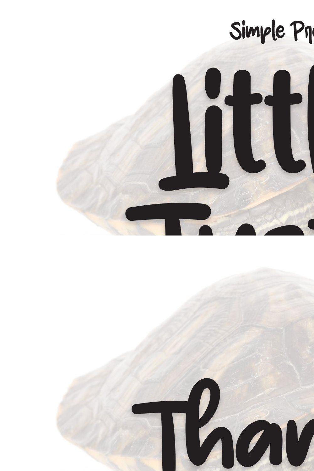 Little Turtle | Script Font pinterest preview image.