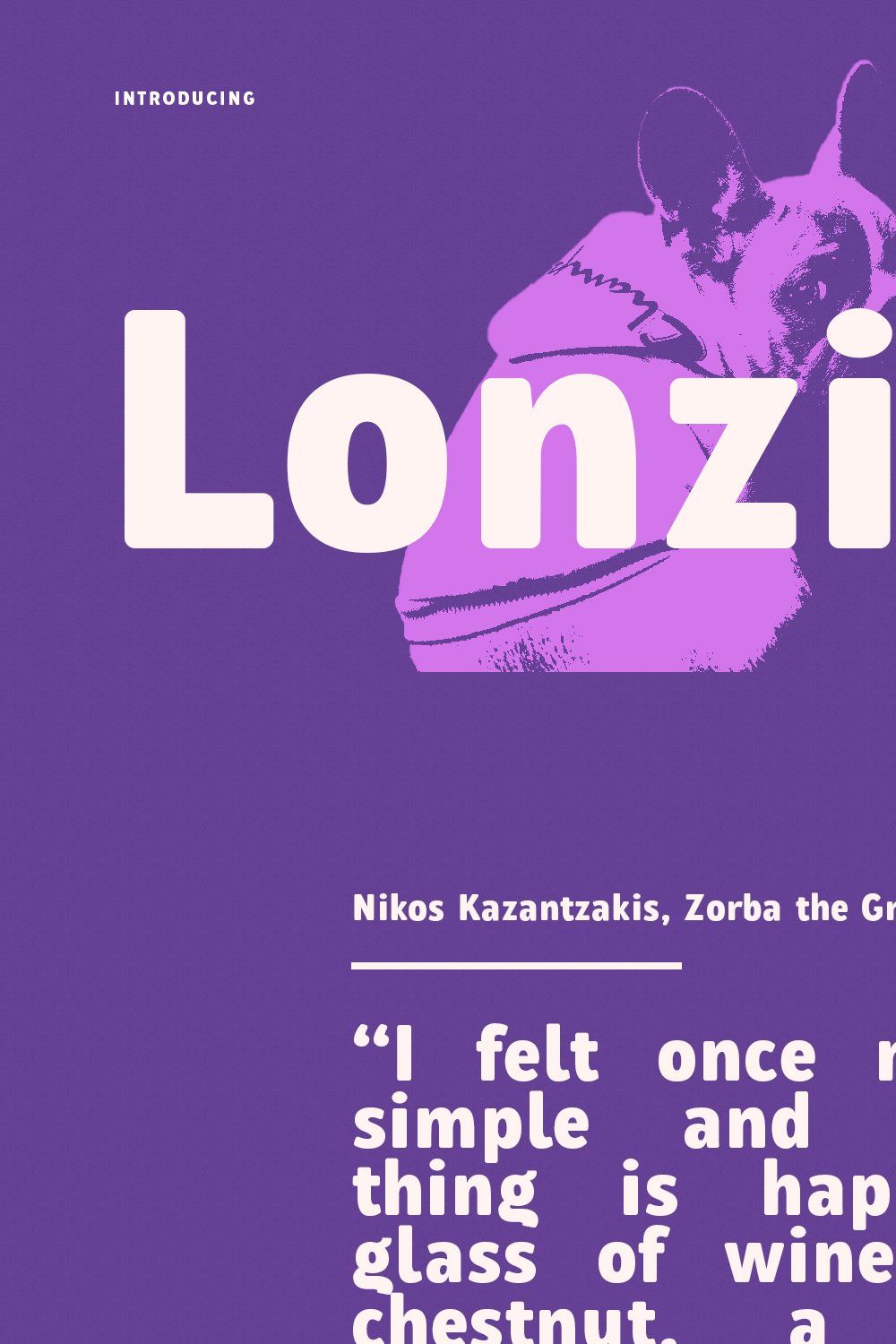 Lonzies Display Sans Serif Soft Bold pinterest preview image.