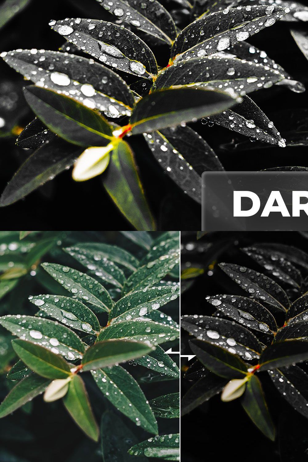 Lr Presets & Ps Actions Dark Green pinterest preview image.