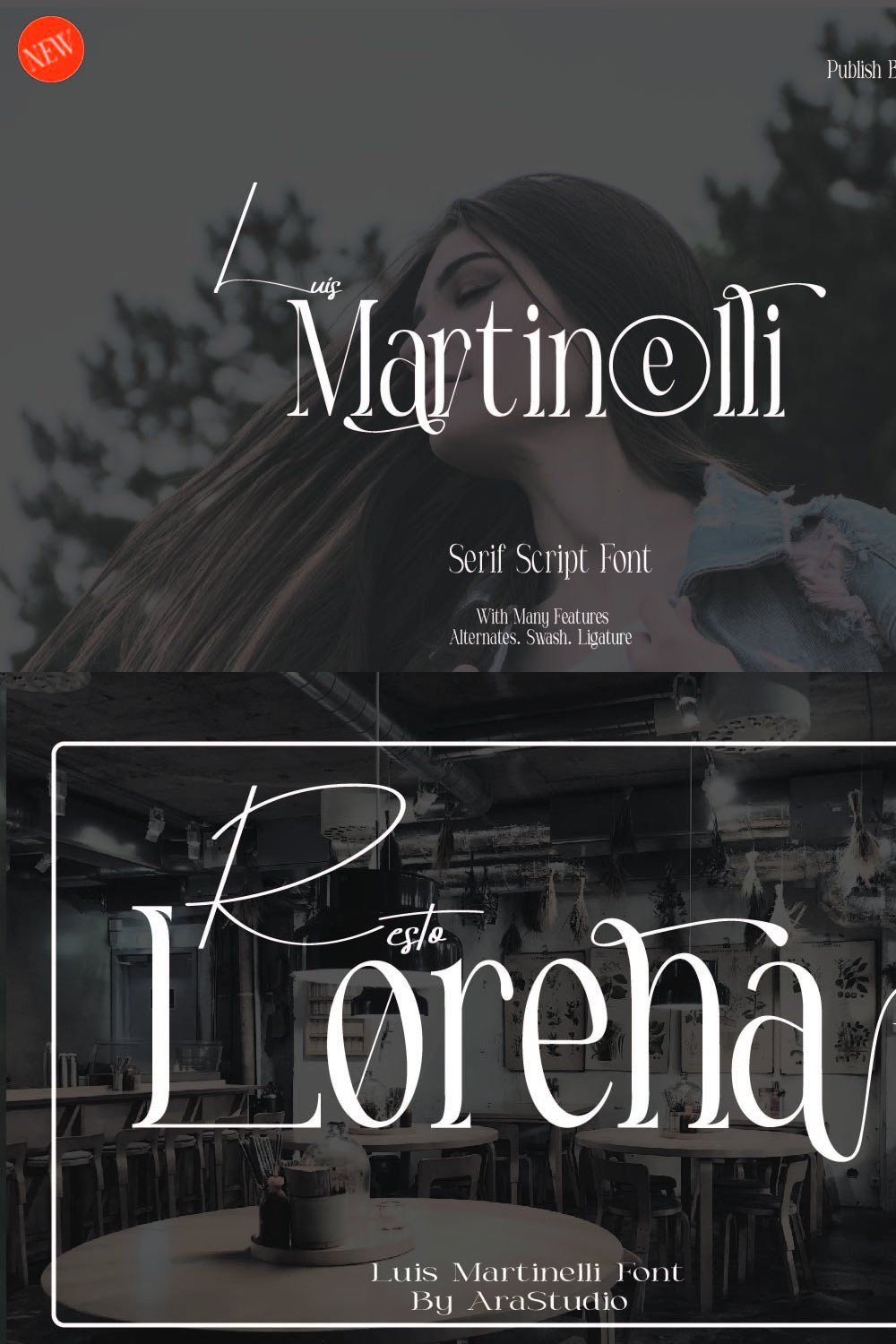 Luis Martinelli - Two Fonts Beauty pinterest preview image.