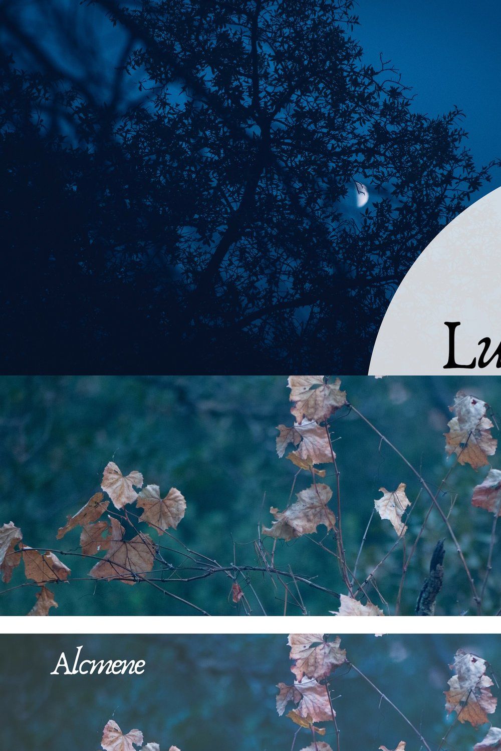 Lunar Eclipse Lightroom Presets pinterest preview image.