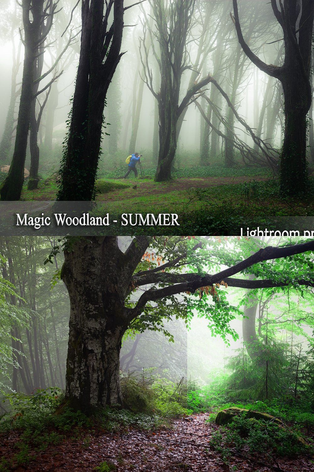 Magic woodland-SUMMER for Lightroom pinterest preview image.