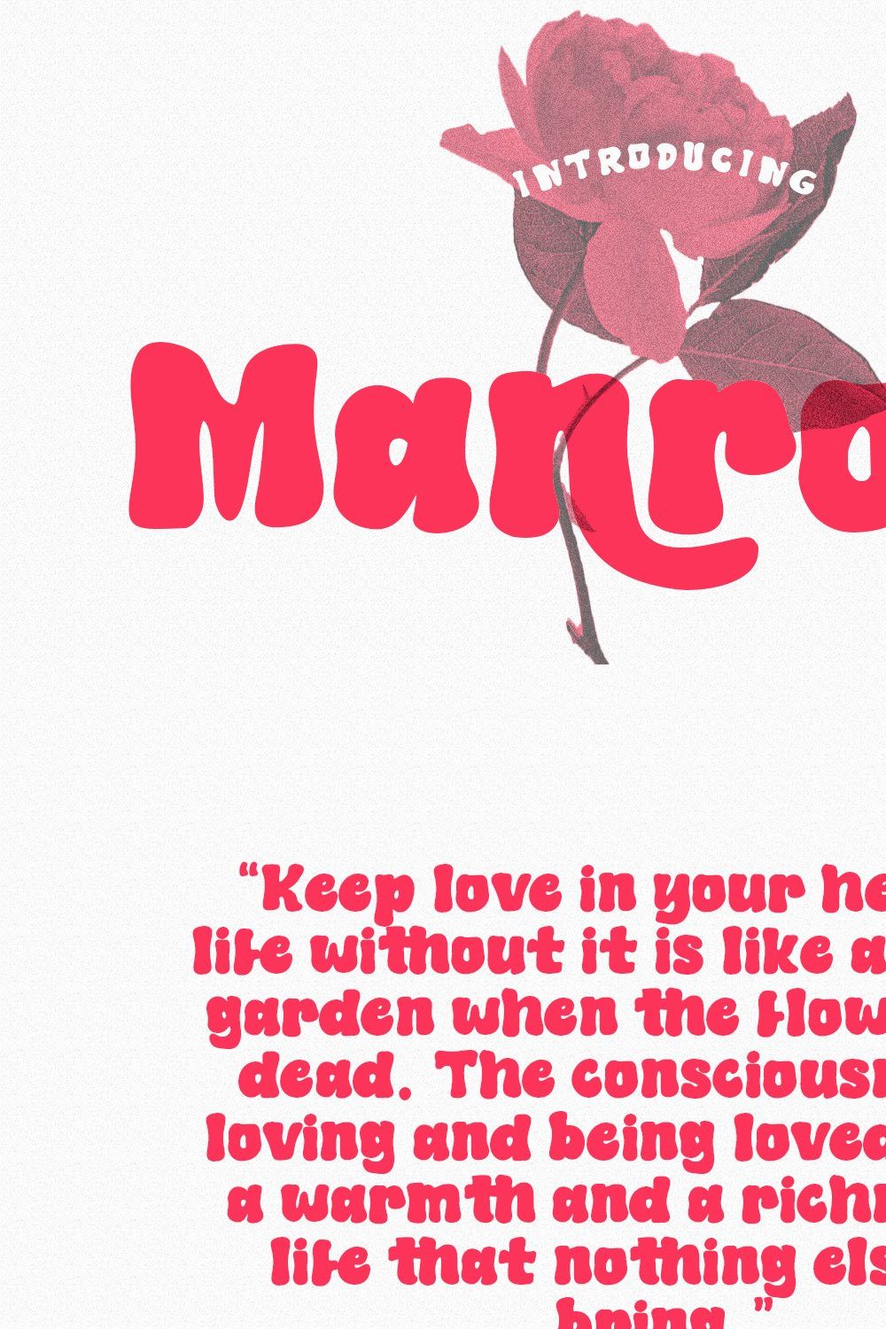 Manrose Handwritten Font pinterest preview image.
