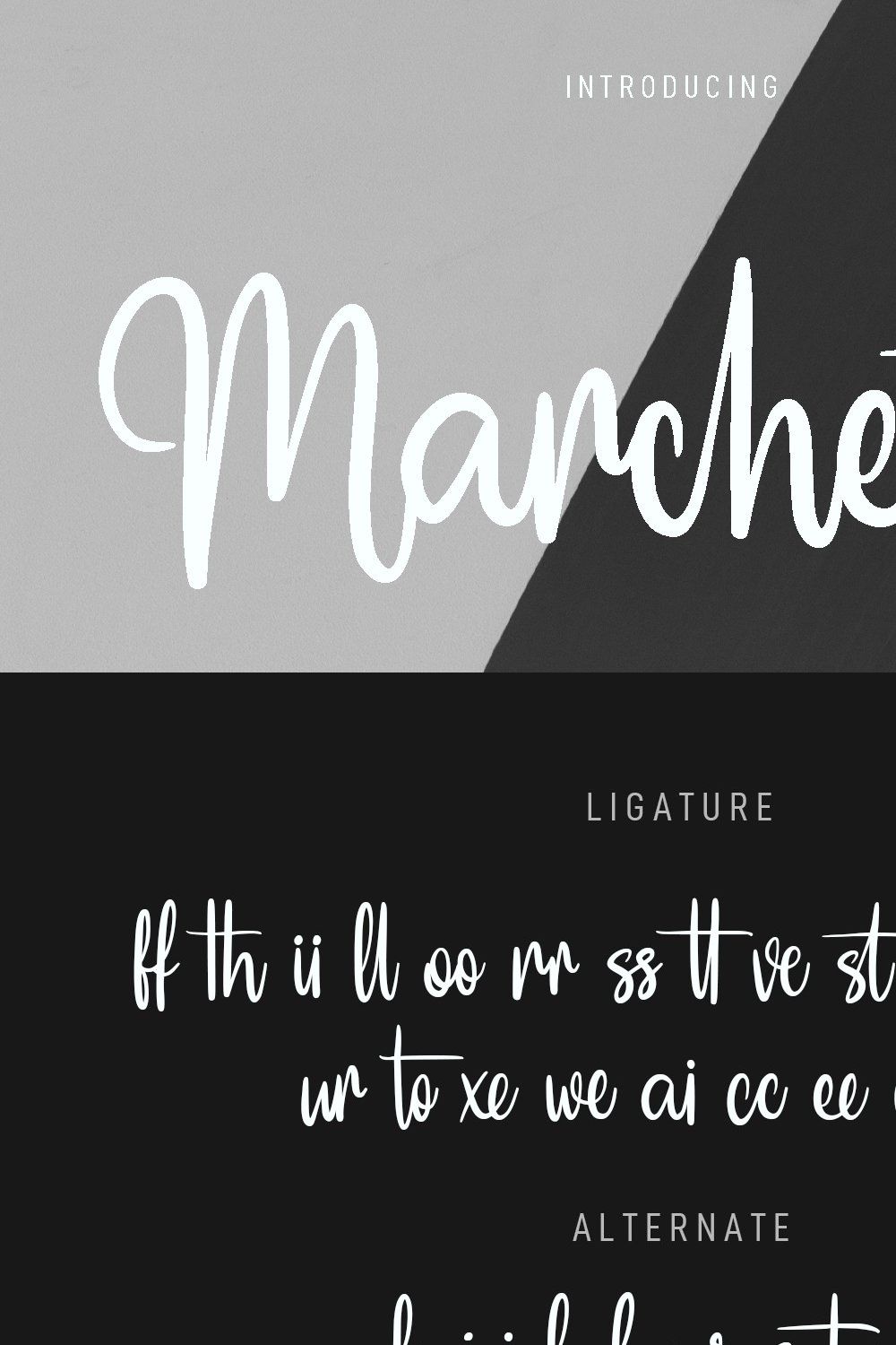 Marchestor Script Font pinterest preview image.