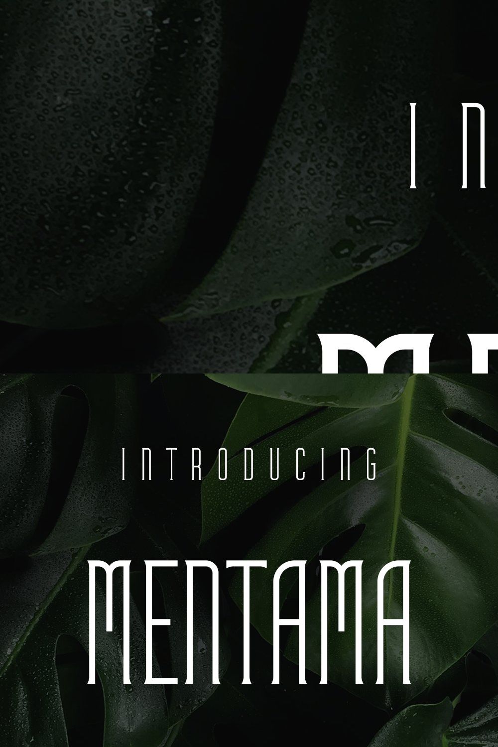 Mentama pinterest preview image.