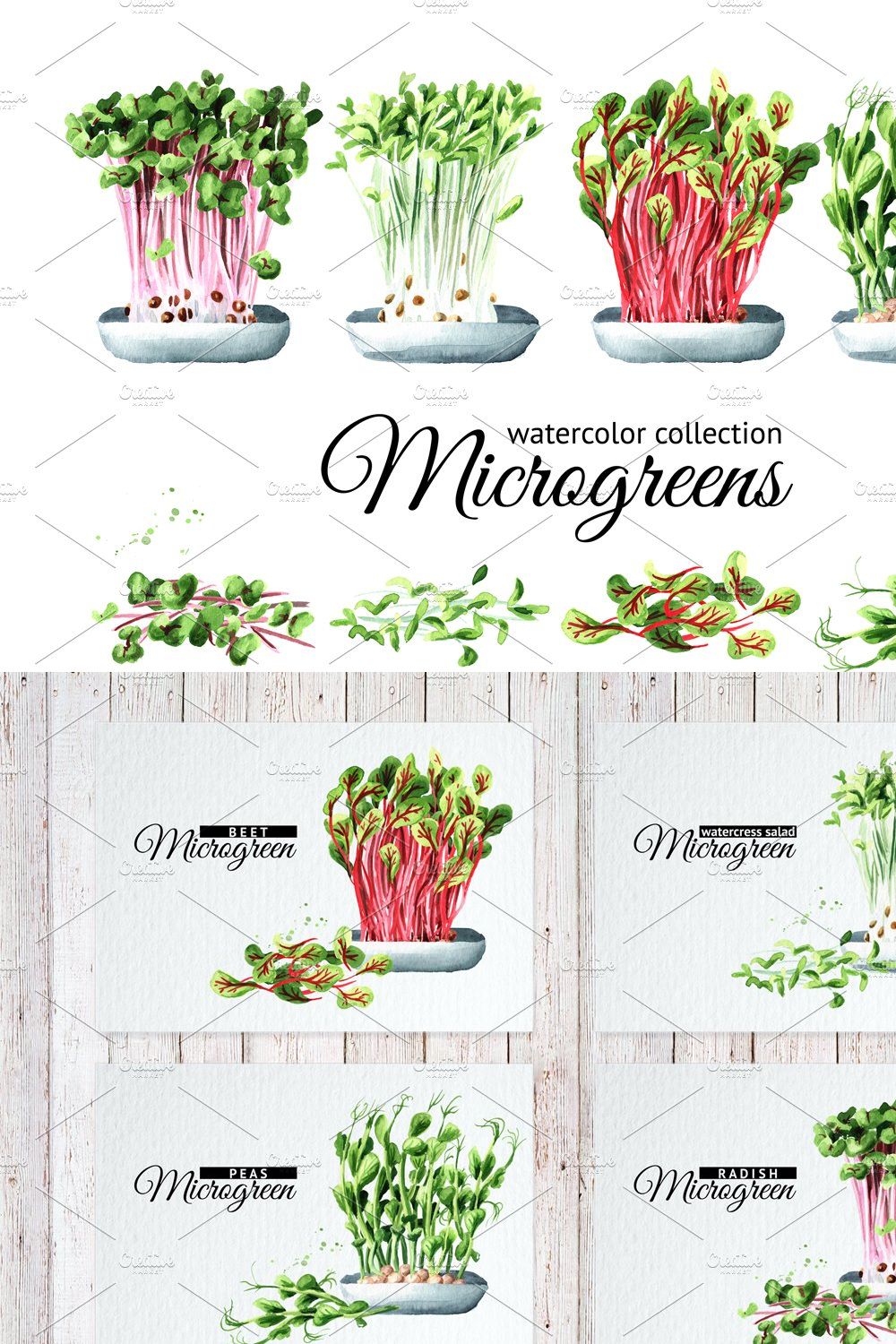 Microgreens. Watercolor collection pinterest preview image.