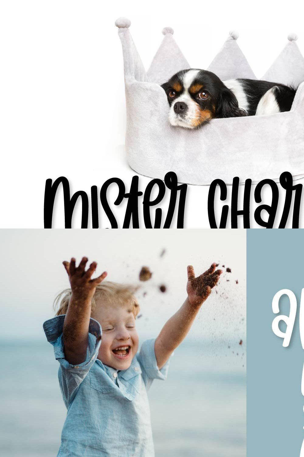 Mister Charming - A Quirky Font pinterest preview image.