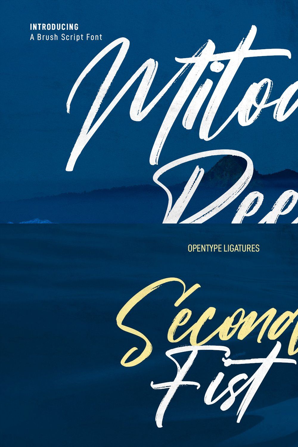 Mitoda Reels Brush Script Font pinterest preview image.