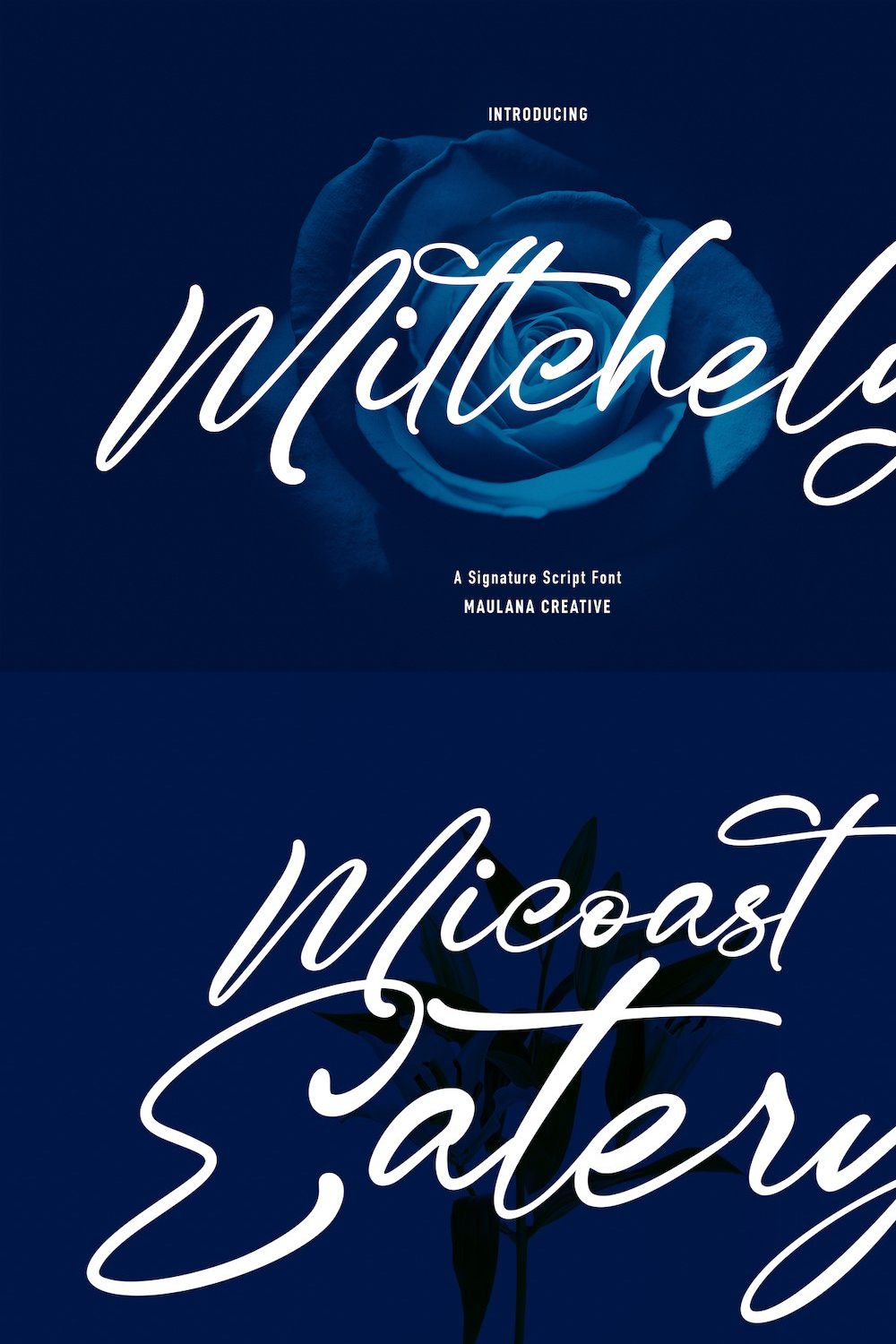 Mittchely Script Font pinterest preview image.