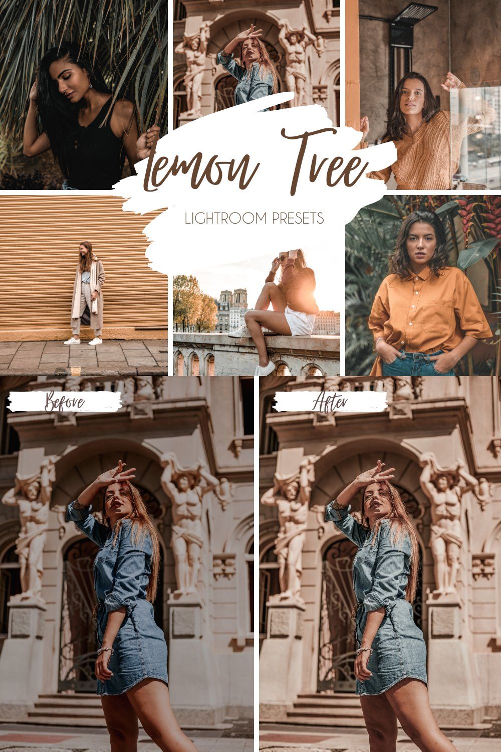 Mobile & Desktop Lightroom Presets pinterest preview image.