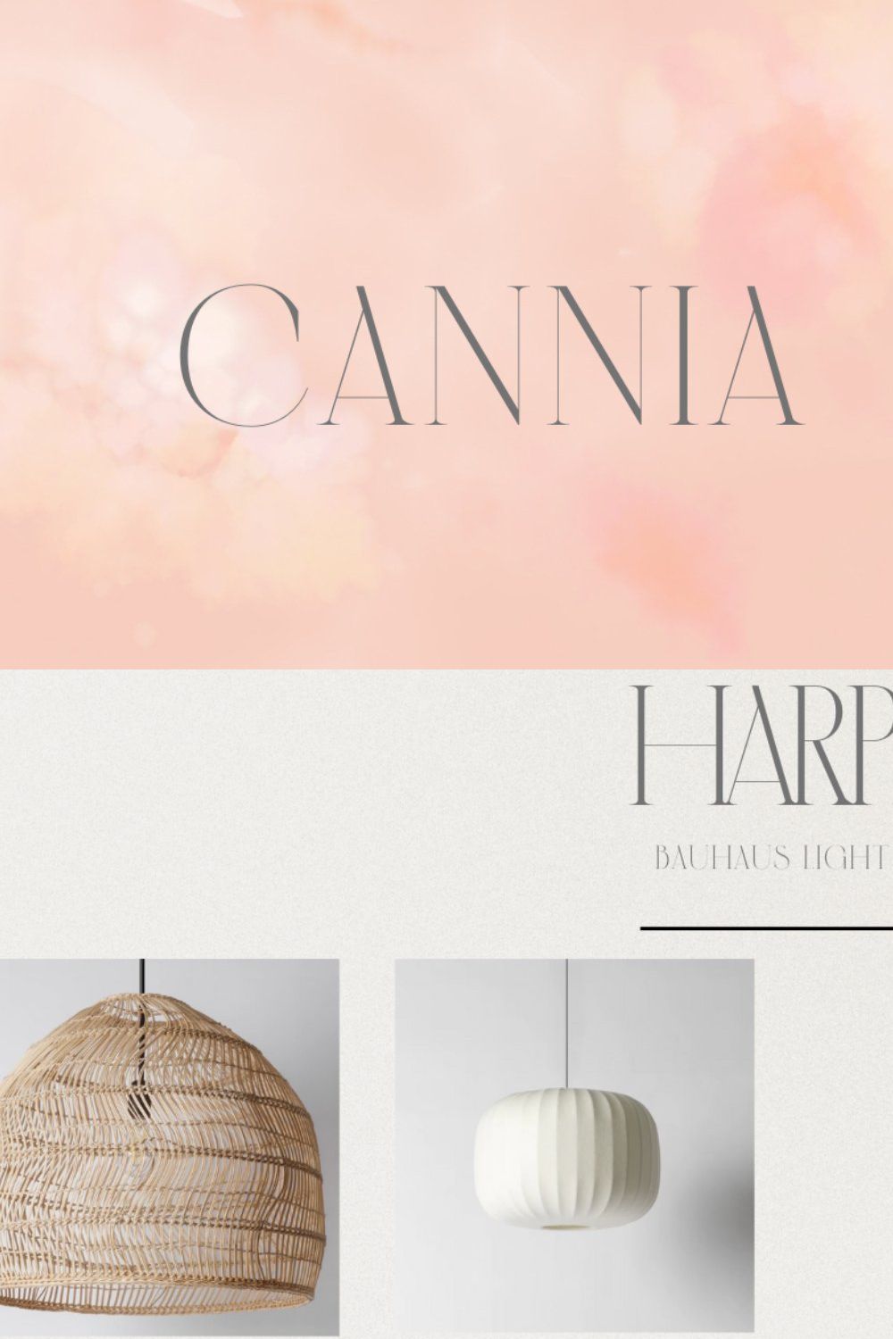 Modern Display Font | Cannia Serif pinterest preview image.