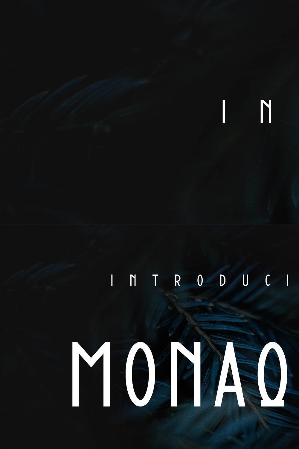 Monaque pinterest preview image.