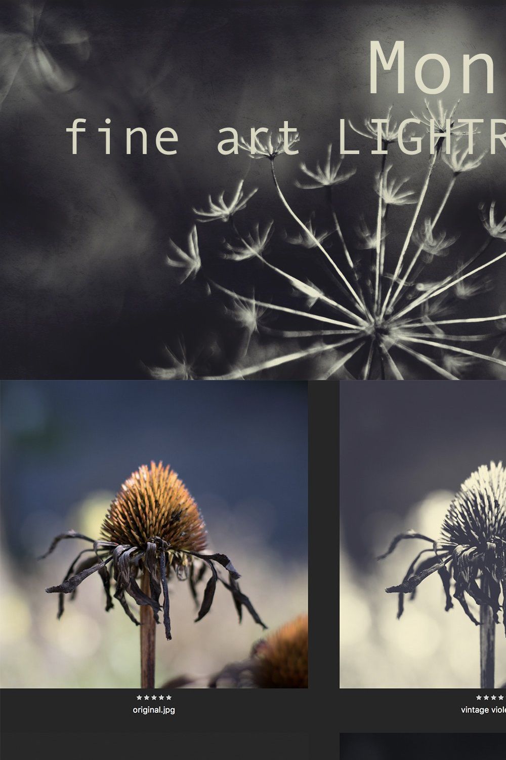 Mono Fine Art Lightroom Presets pinterest preview image.