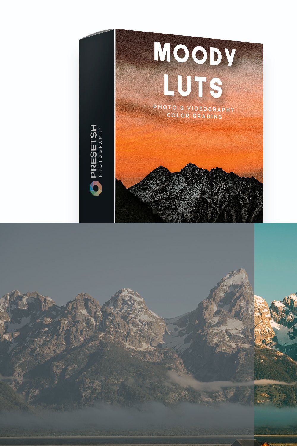 Moody LUTs for Color Grading pinterest preview image.