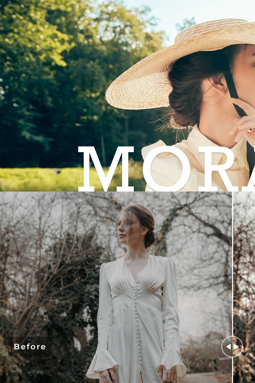 Moraea Pro Lightroom Presets pinterest preview image.