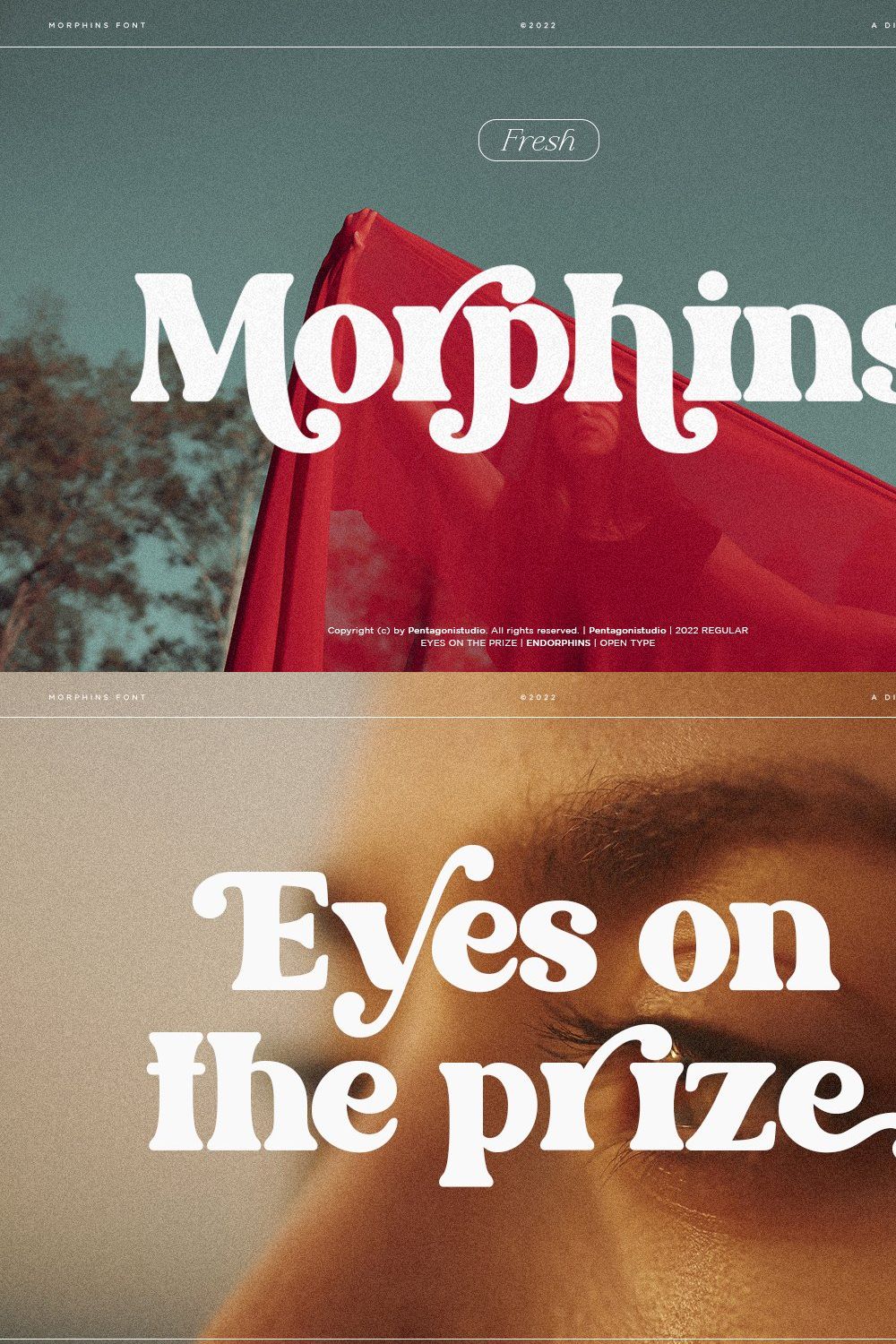 Morphins | Display Serif pinterest preview image.