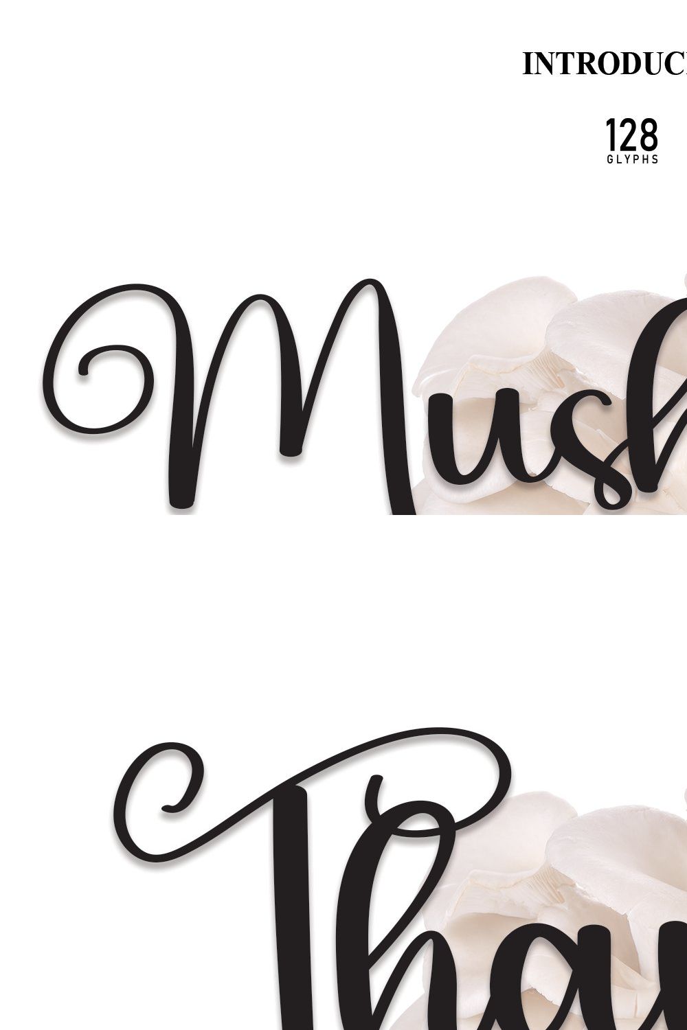 Mushroom | Script Font pinterest preview image.