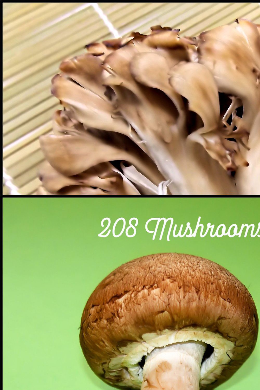 Mushrooms Gradients pinterest preview image.