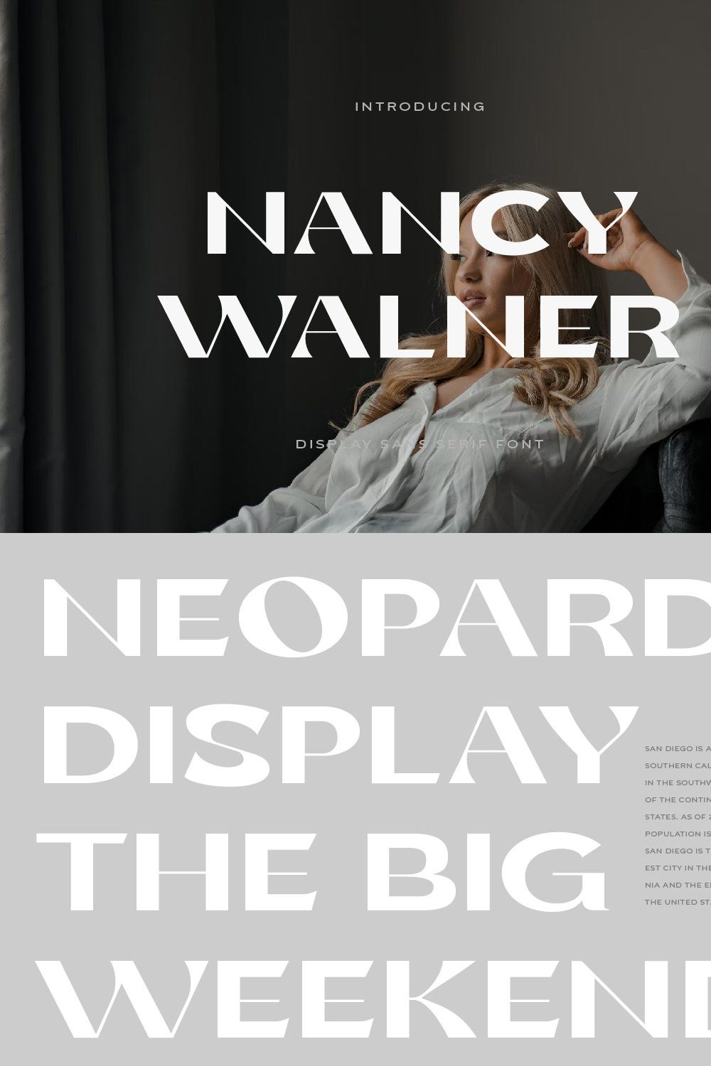 Nancy Walner Modern Sans pinterest preview image.