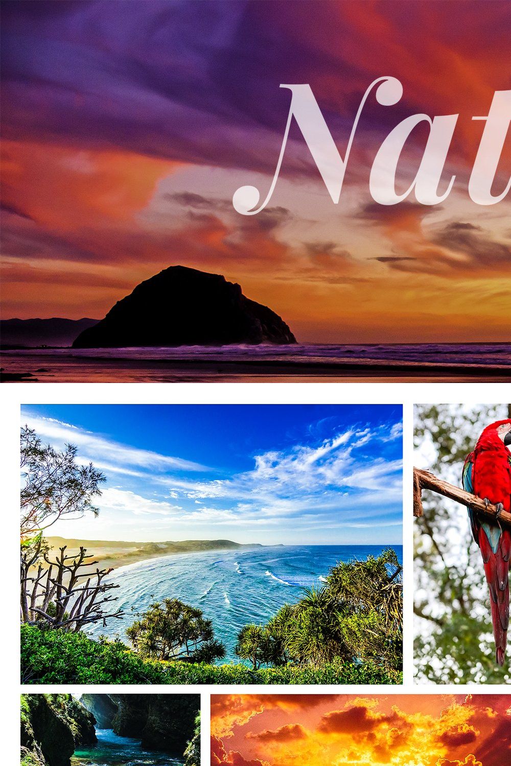 Natura Landscapes Lightroom Presets pinterest preview image.