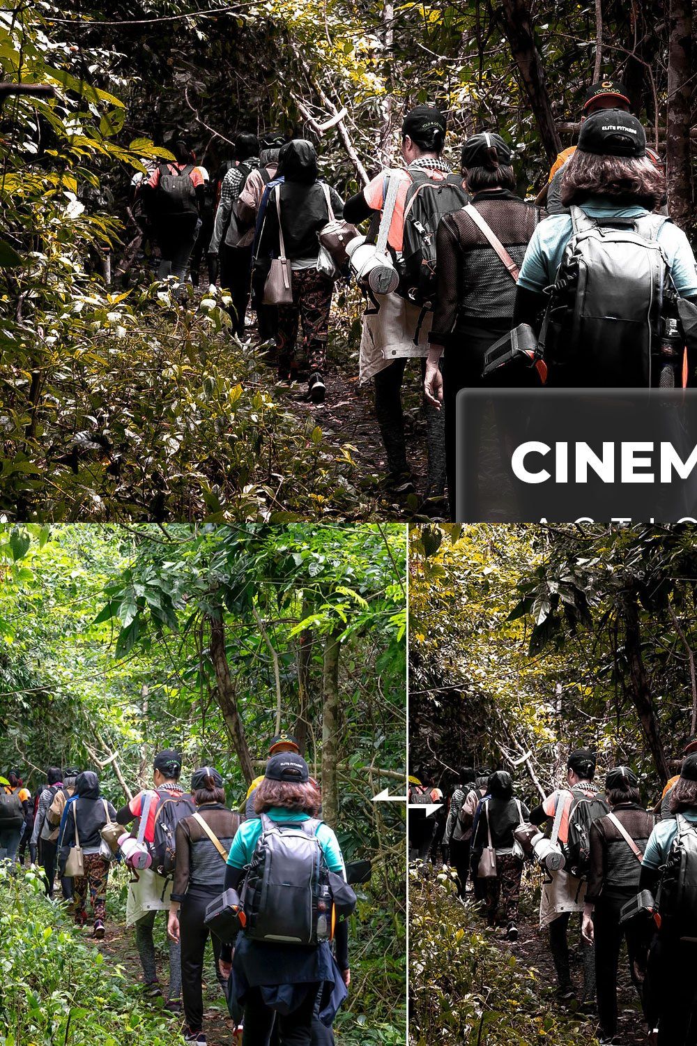 Natural Cinematic - Presets & Action pinterest preview image.