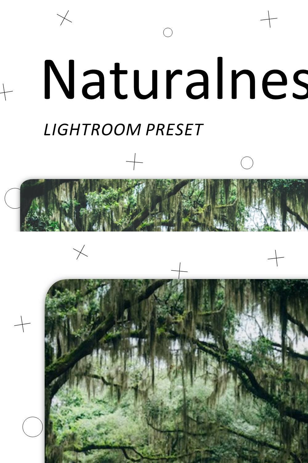 Naturalness - Lightroom Presets pinterest preview image.