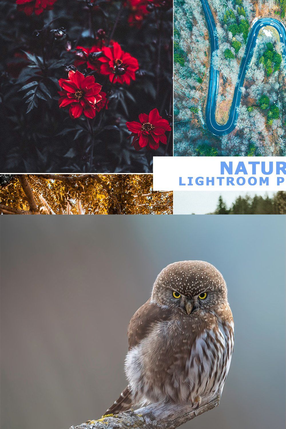 Nature Lightroom Presets pinterest preview image.