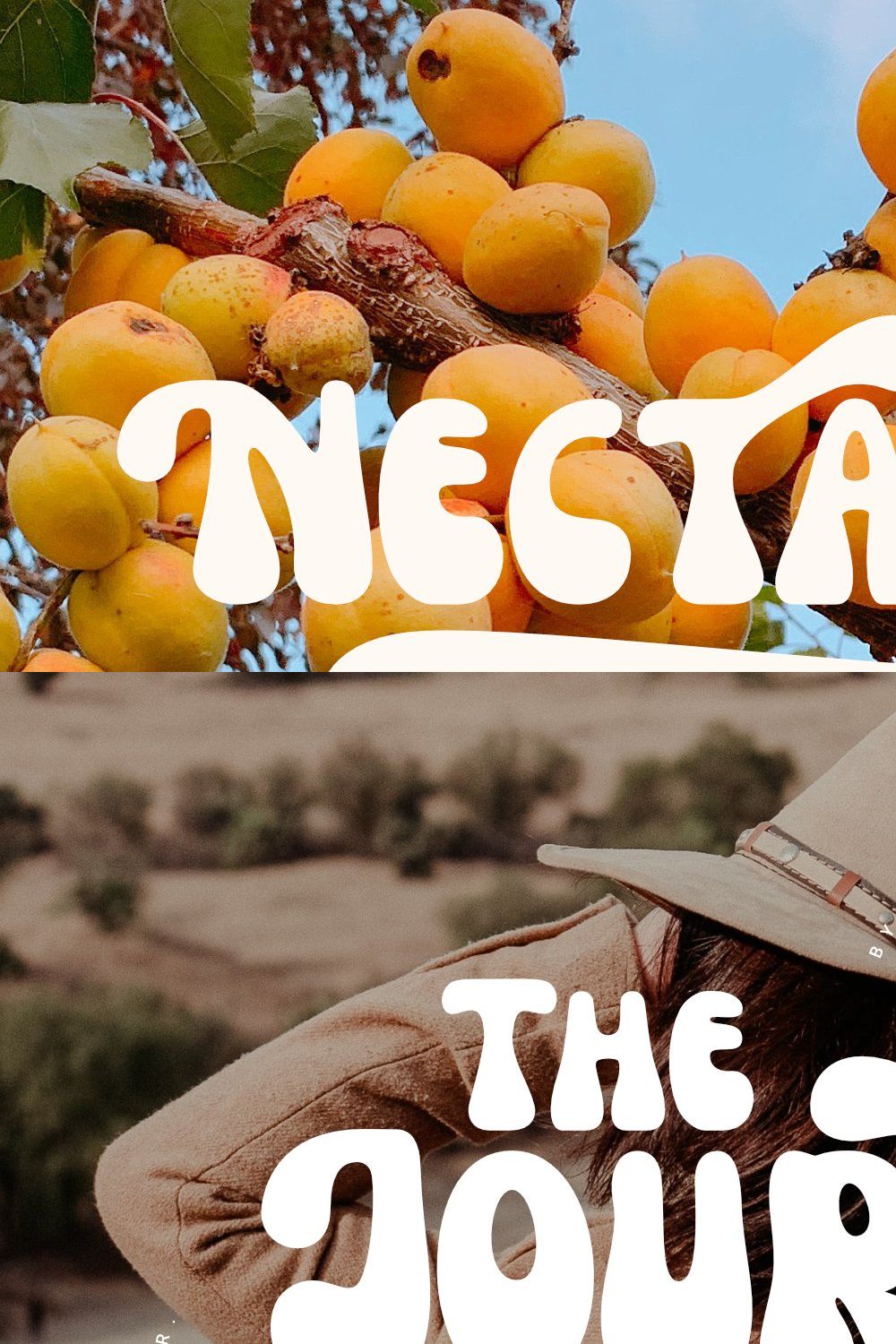 Nectarine - Display Font pinterest preview image.