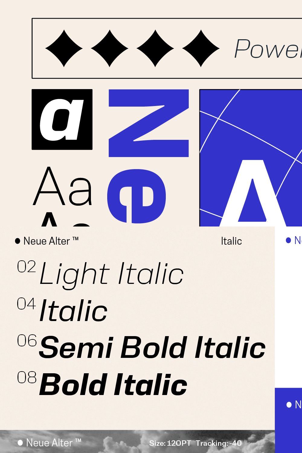 Neue Alter Family 8 Fonts 70% OFF pinterest preview image.