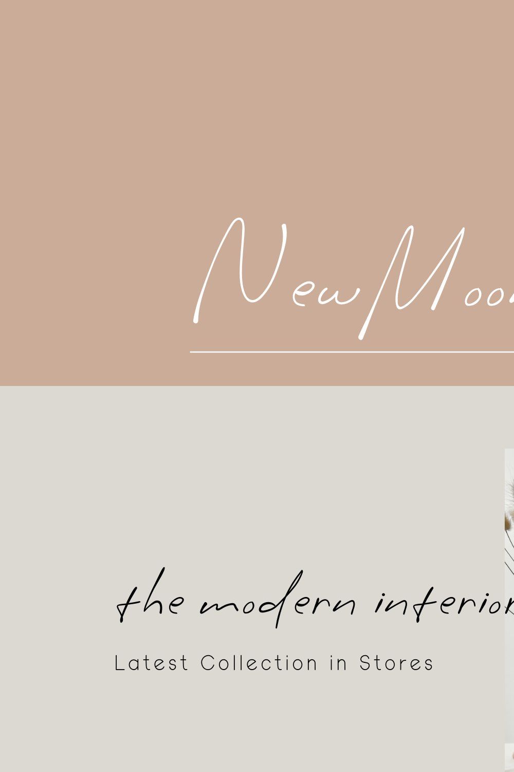 New Moon Day Script Font pinterest preview image.