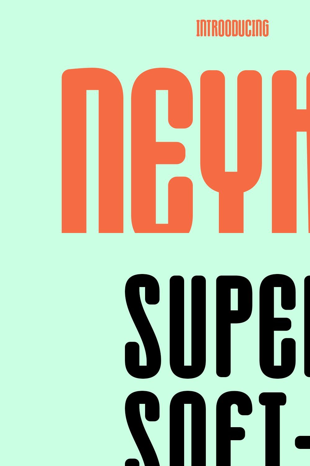 Neyko Sans Serif Display Font pinterest preview image.