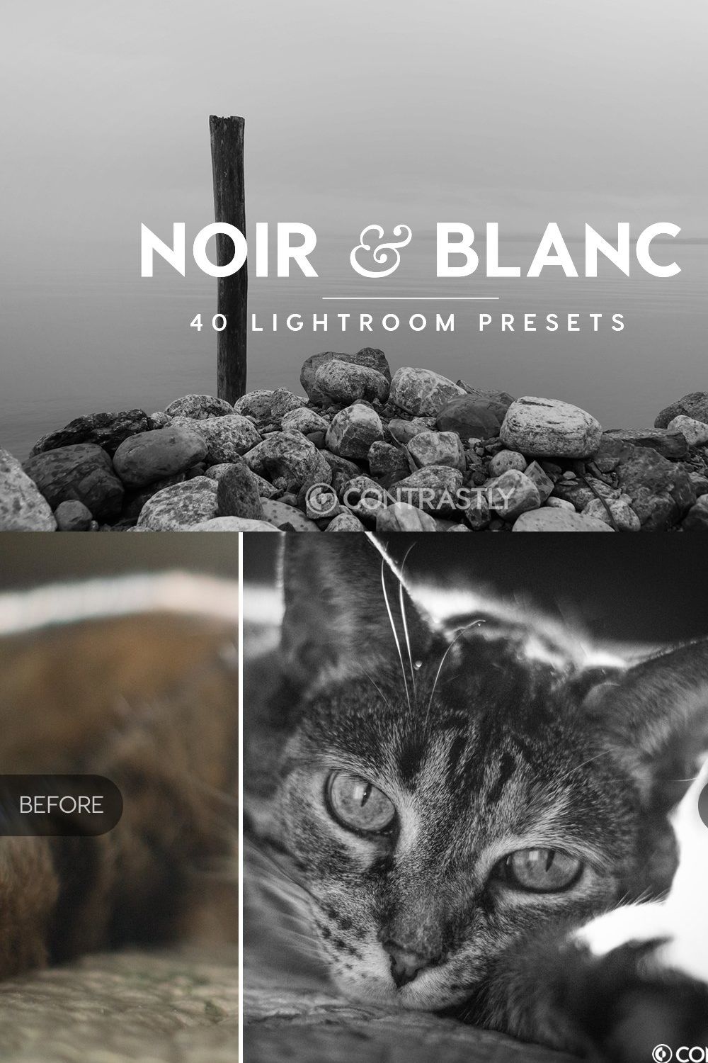 Noir & Blanc Lightroom Presets pinterest preview image.