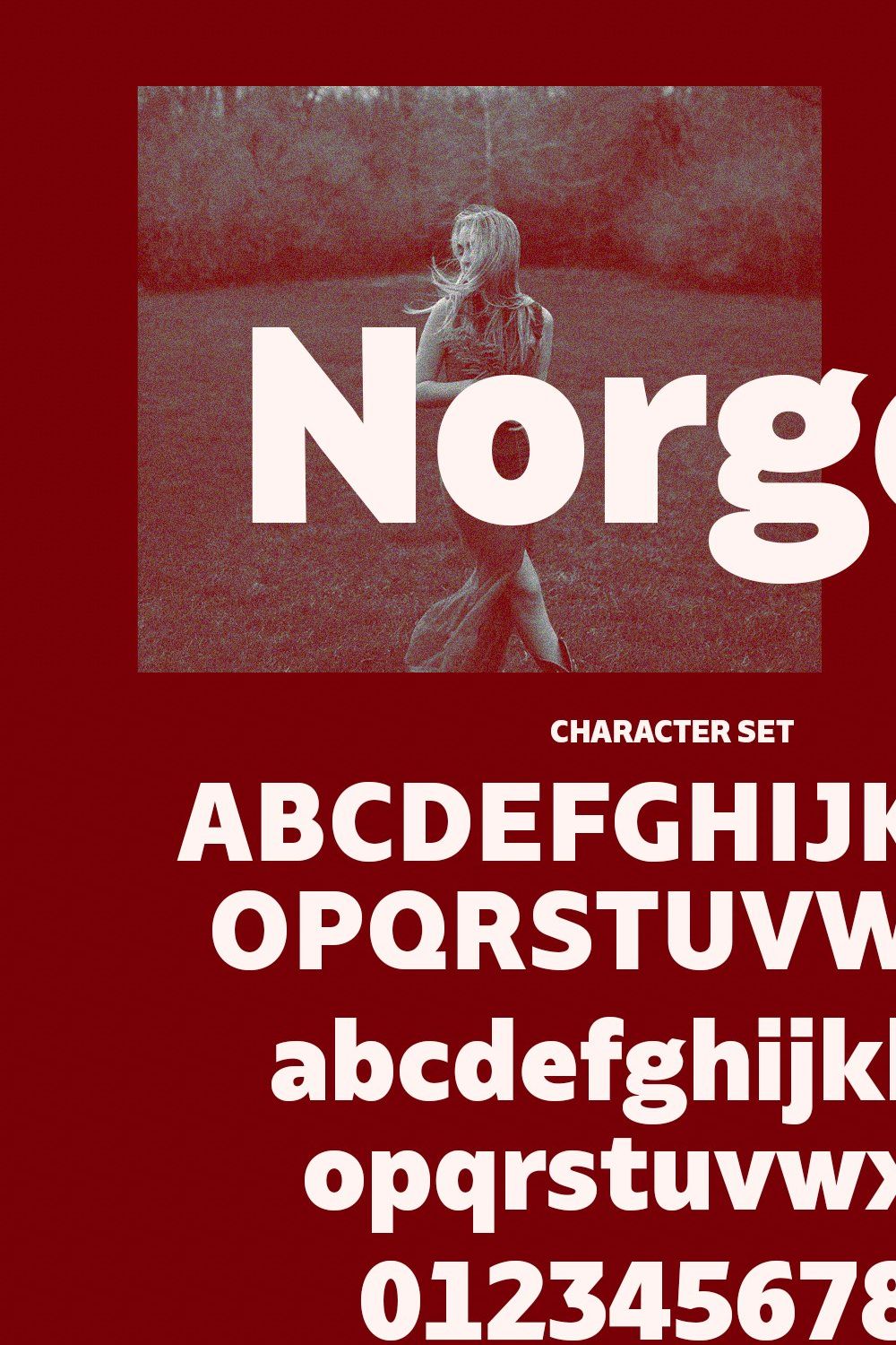 Norges Sans Serif Font pinterest preview image.