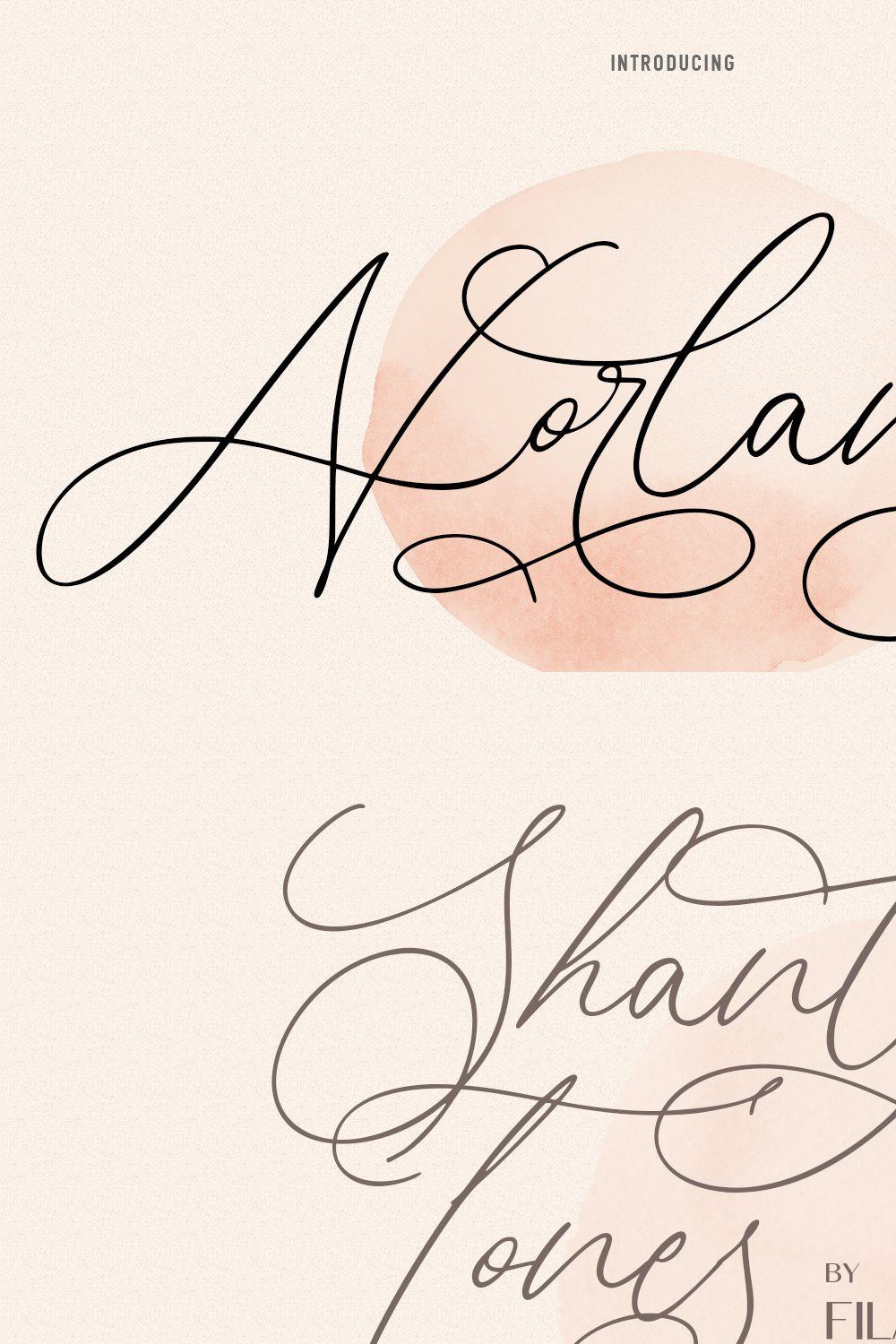 Norlandy Beauty Script Font pinterest preview image.