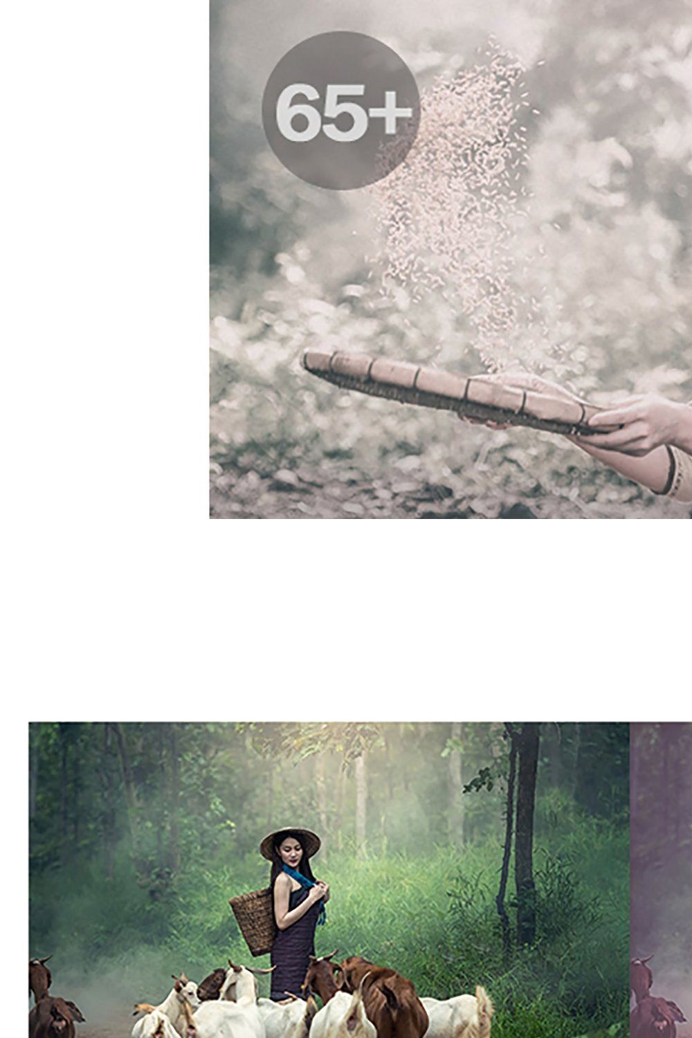 Old Film Lightroom Presets pinterest preview image.