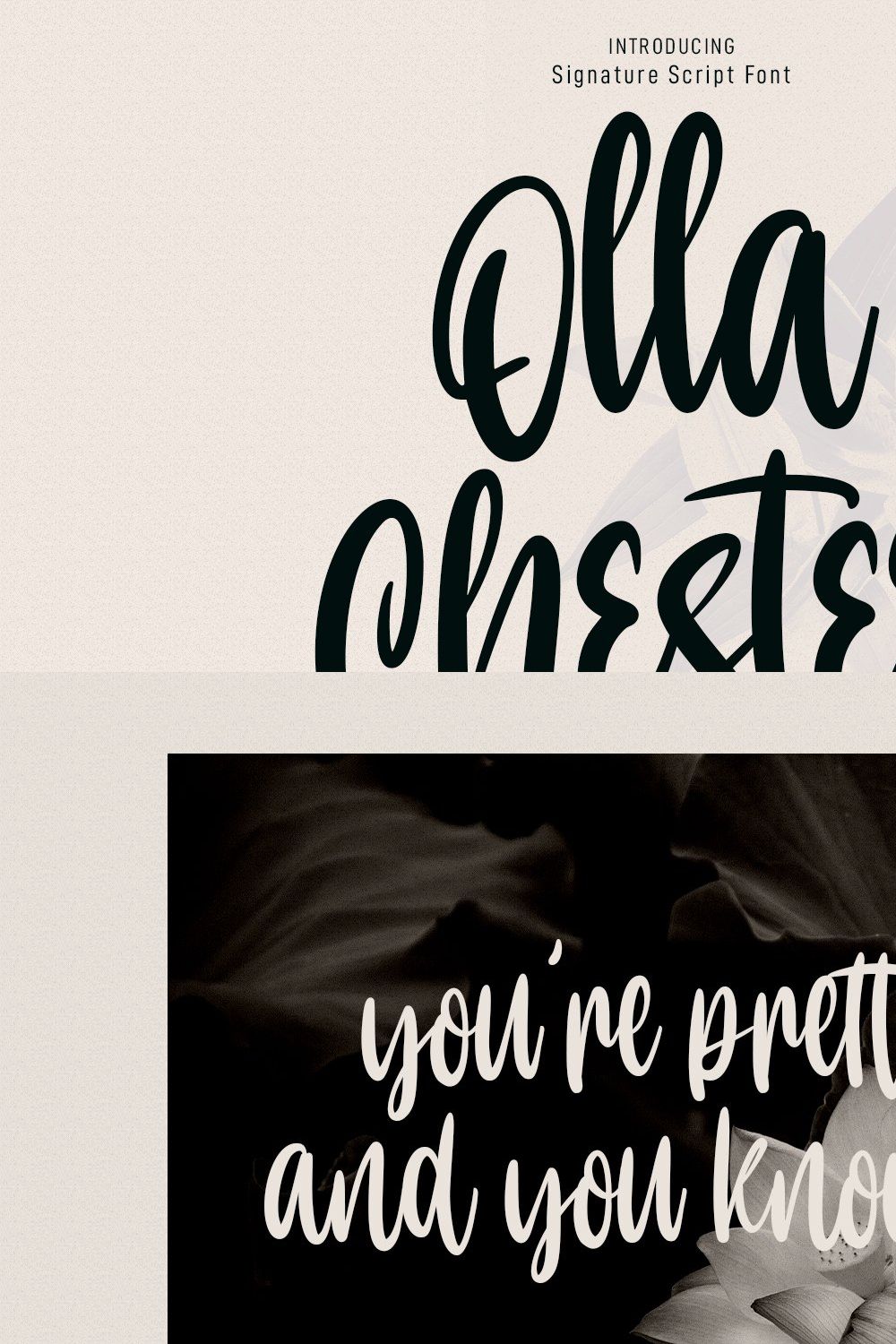 Olla Chester Script Font pinterest preview image.