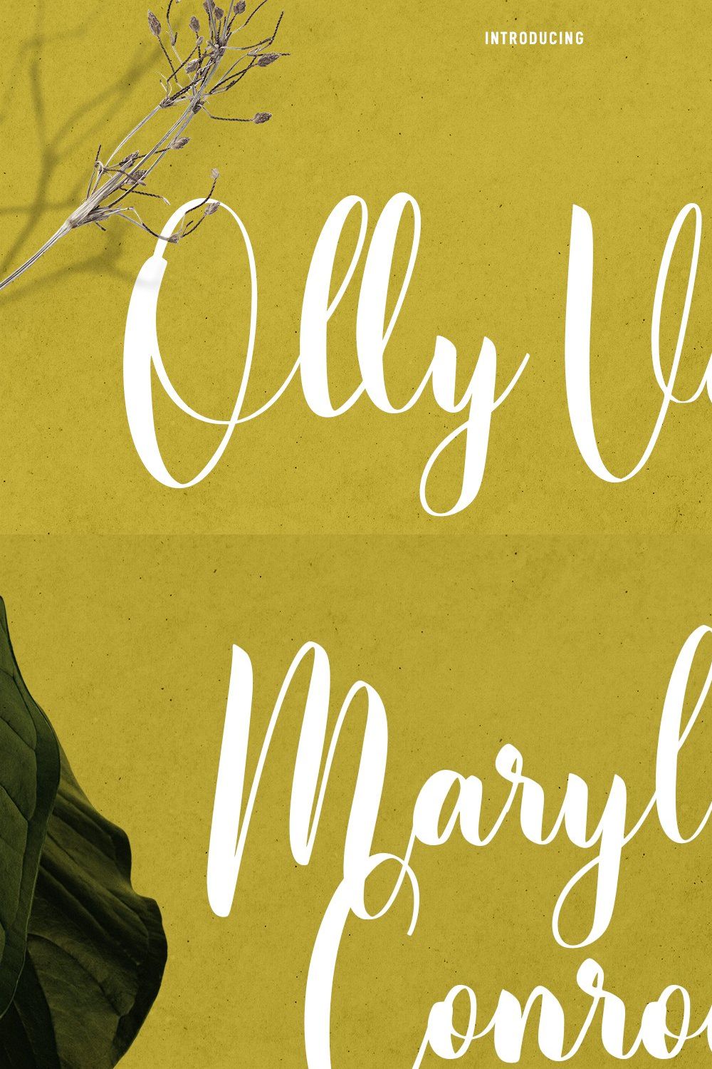 Olly Vetta Script Font pinterest preview image.