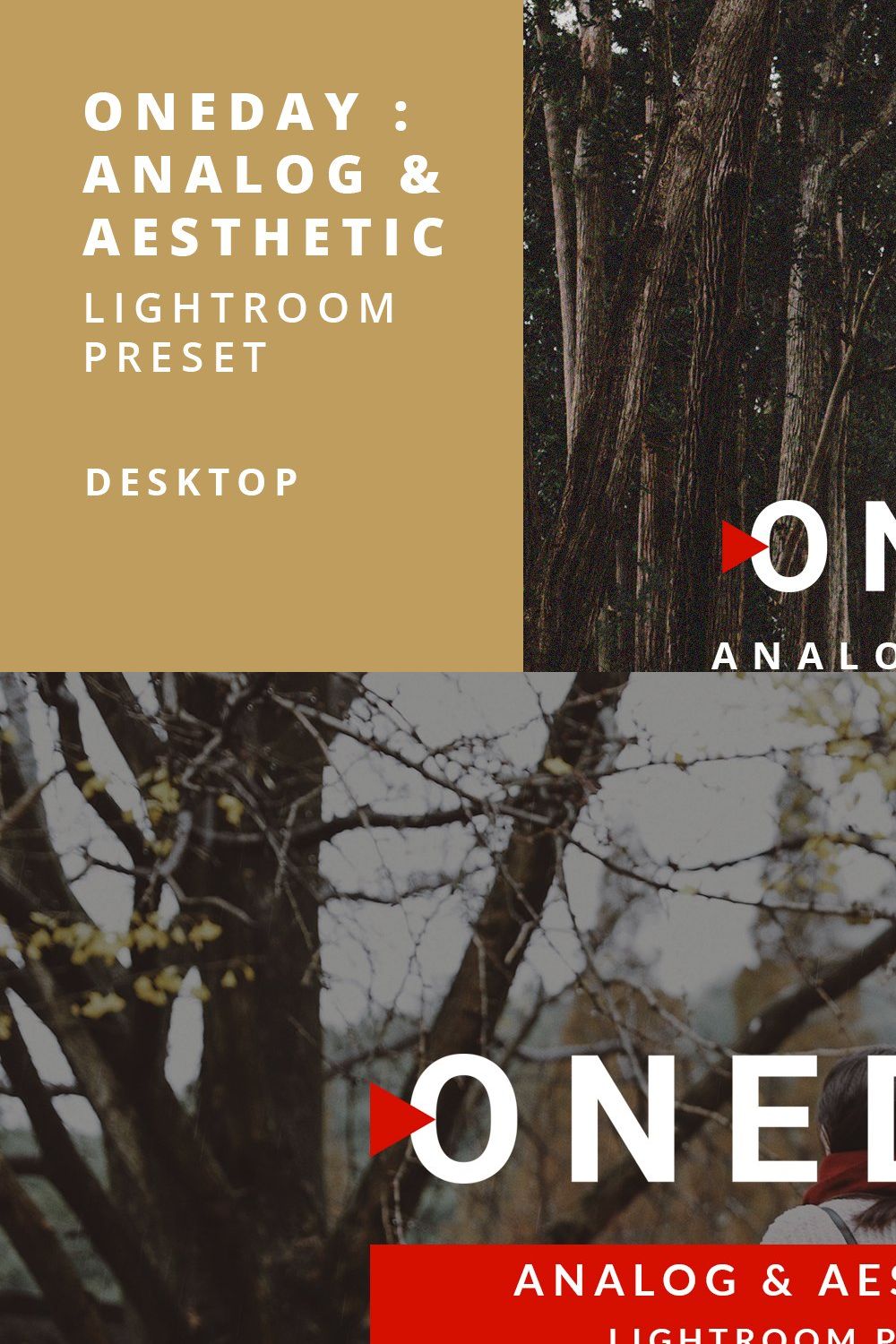 Oneday: Analog & Aesthetic Lr preset pinterest preview image.