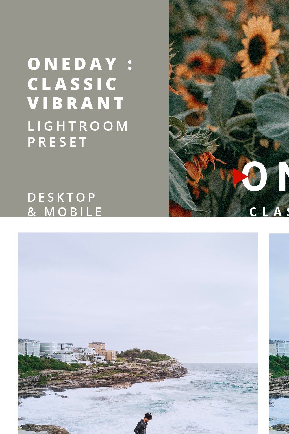 Oneday : Classic Vibrant Lr Preset pinterest preview image.