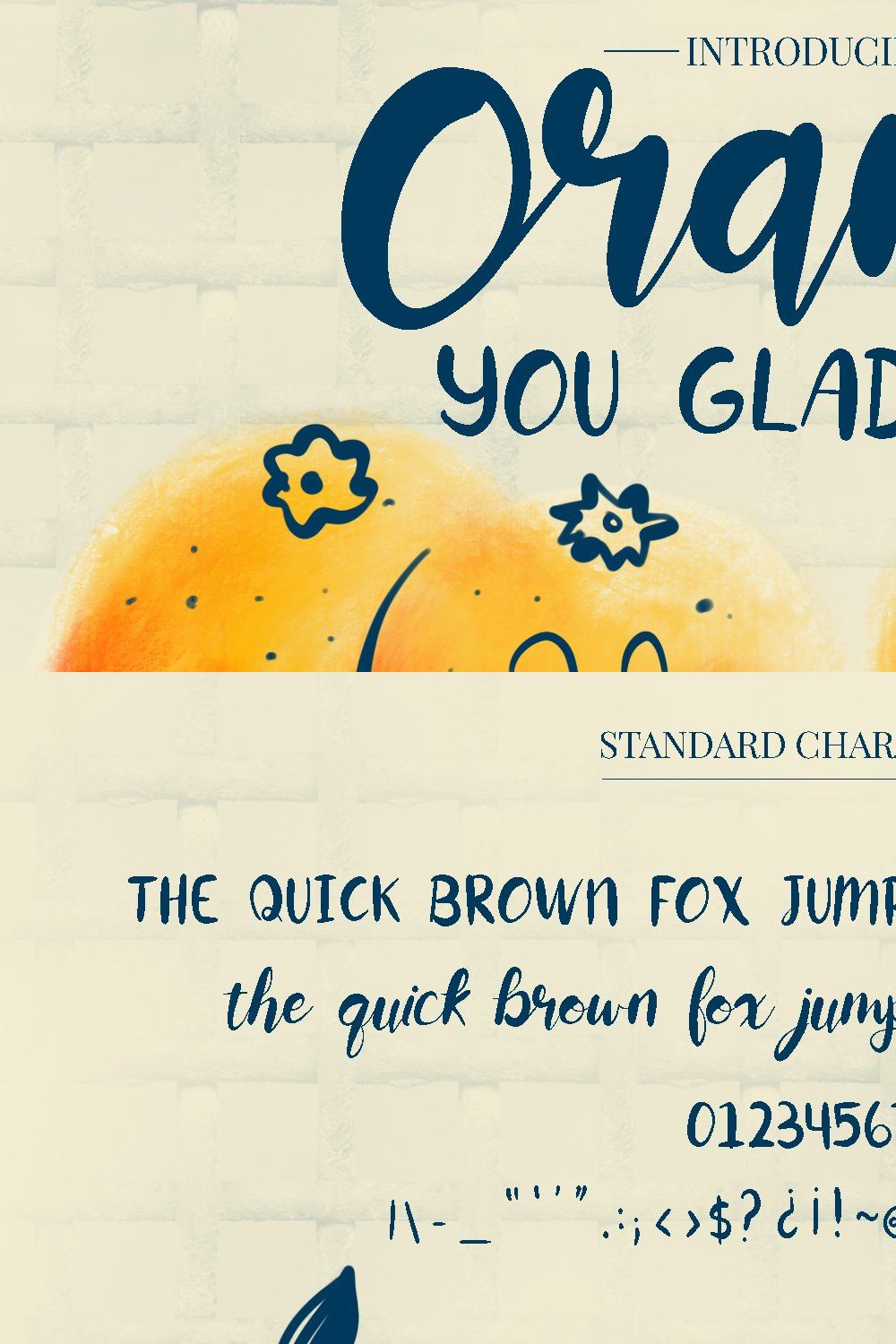 Orange You Glad Font pinterest preview image.