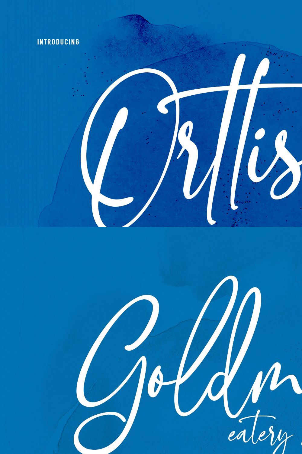 Orttisa Signature Script Font pinterest preview image.