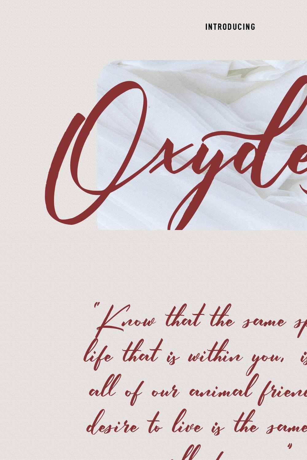 Oxydest Script Font pinterest preview image.