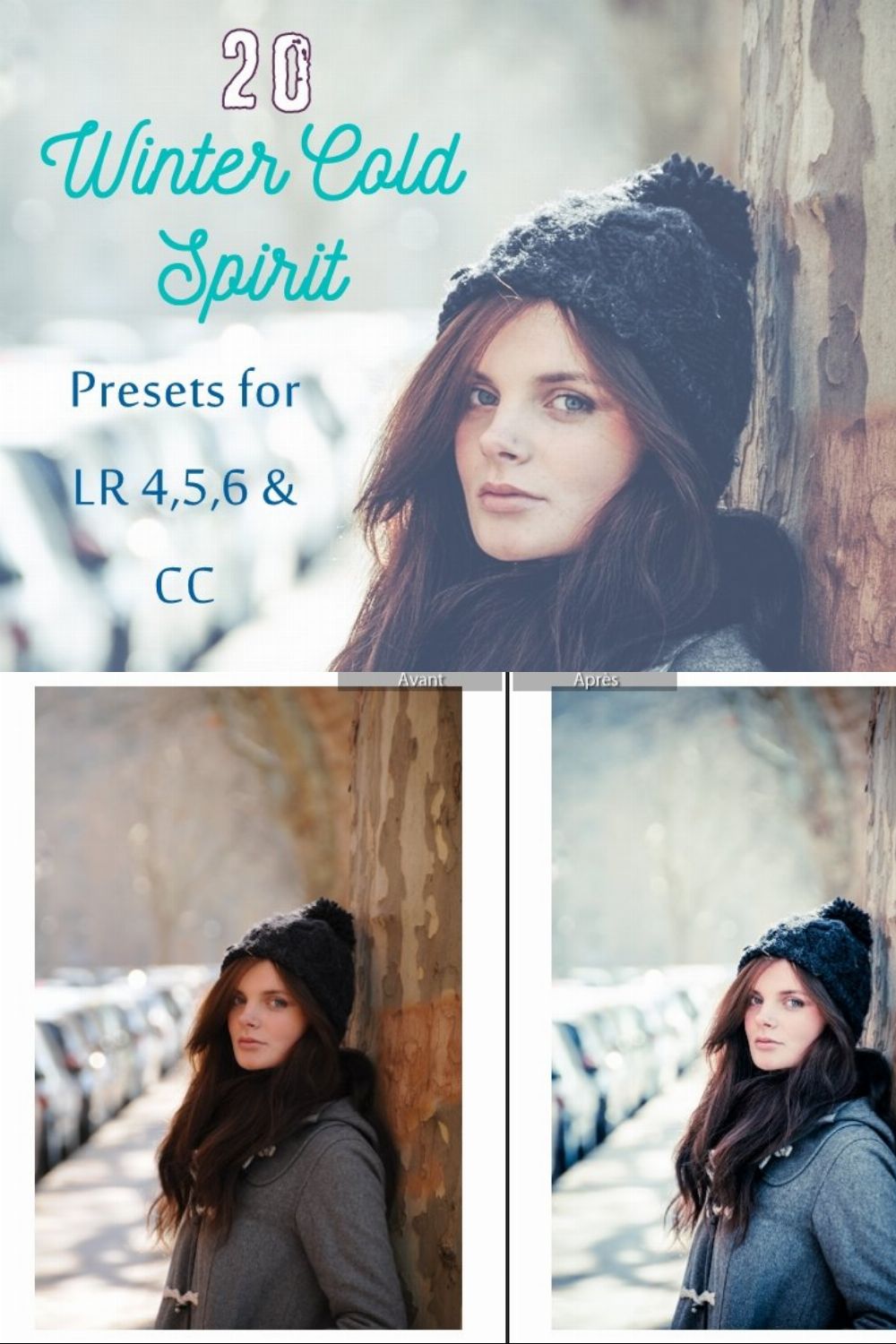 Pack 20 LR Presets Winter time pinterest preview image.